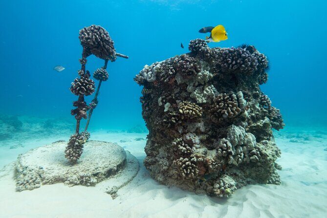 Certified Diver: 2-Tank Shallow Reef Dives off Oahu - Getting there and what to prepare before you board