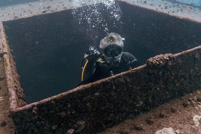 Certified Divers: Best 2-Tank Wrecks & Reef Boat Dive All Inclusive From Waikiki - Certification, health checks, and timing rules that can cost you
