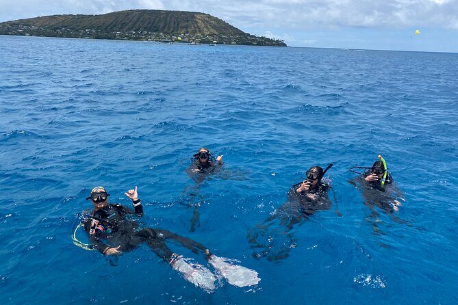 Certified Scuba Diving Along Two Shallow Reef Sites - Quick expectations to set your day up right