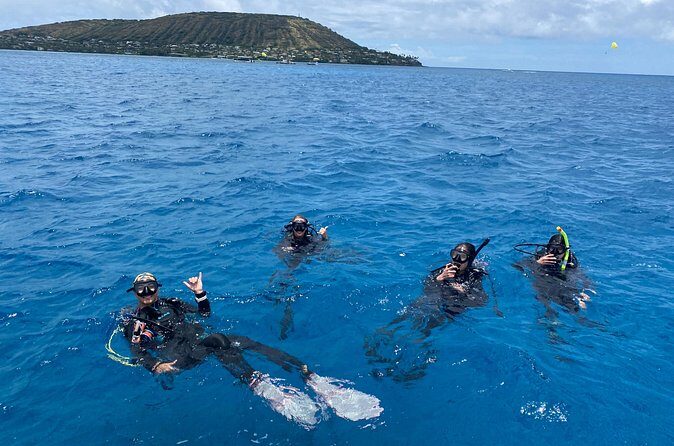 Certified Scuba Diving Along Two Shallow Reef Sites - Mixed experience on one boat: how the split actually helps