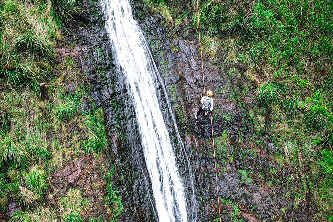 Chasing Waterfalls:Wild Hawaii Rappelling - After the rappel: snacks, drinks, and a slower pace