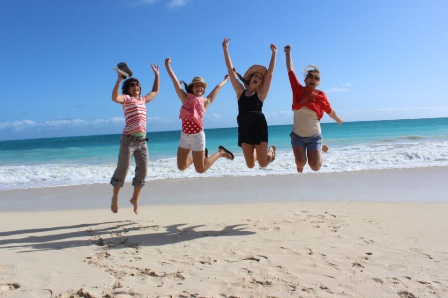 Circle Island: Swim with Turtles and Explore Paradise Oahu - Circle Island feels different when turtles are the deadline