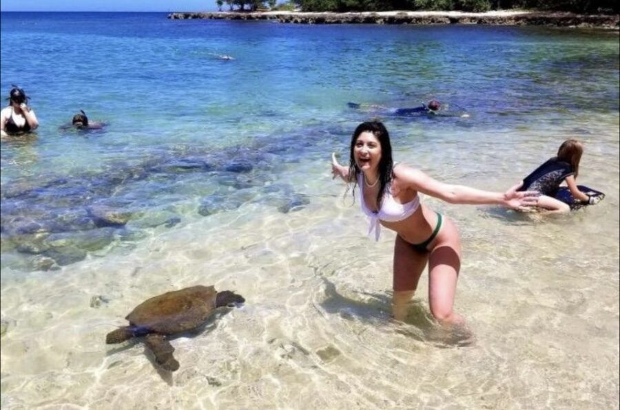 Circle Island: Swim with Turtles and Explore Paradise Oahu - Morning sights: Diamond Head and Halona Blowhole on a tight schedule