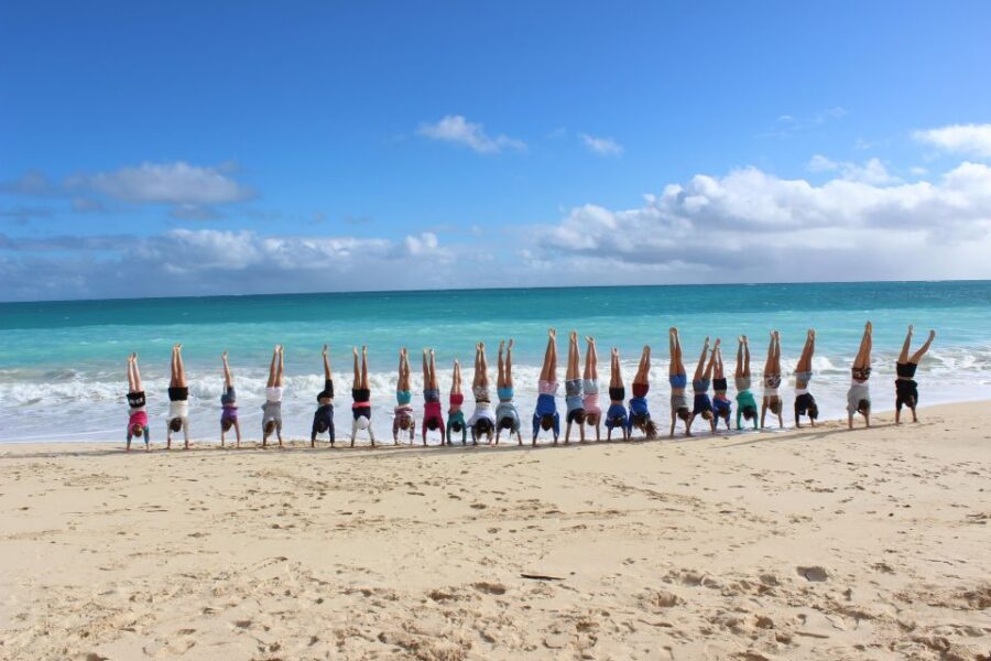 Circle Island: Swim with Turtles and Explore Paradise Oahu - The drive around Oahu: Makapuu, Koolau Range, and film-location vibes