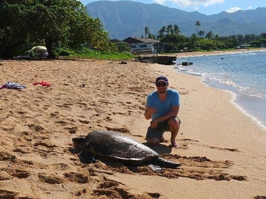 Circle Island: Swim with Turtles and Explore Paradise Oahu - Food and break time: Kahuku shrimp plus a real lunch window
