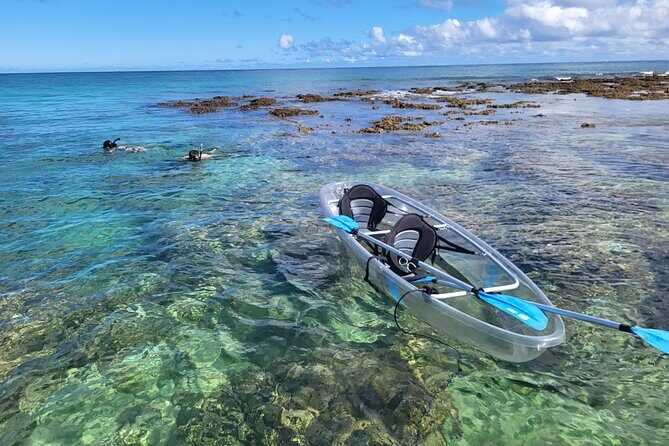 Clear Bottom Kayak - Guaranteed to see Turtles! - Key things you should know before you go