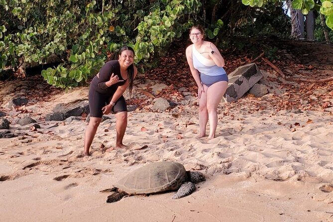 Clear Bottom Kayak - Guaranteed to see Turtles! - The North Shore route: reef, caves, and the “follow the turtle” pacing