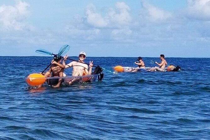 Clear Bottom Kayak - Guaranteed to see Turtles! - Wildlife highlights: turtles first, but don’t be surprised by extras