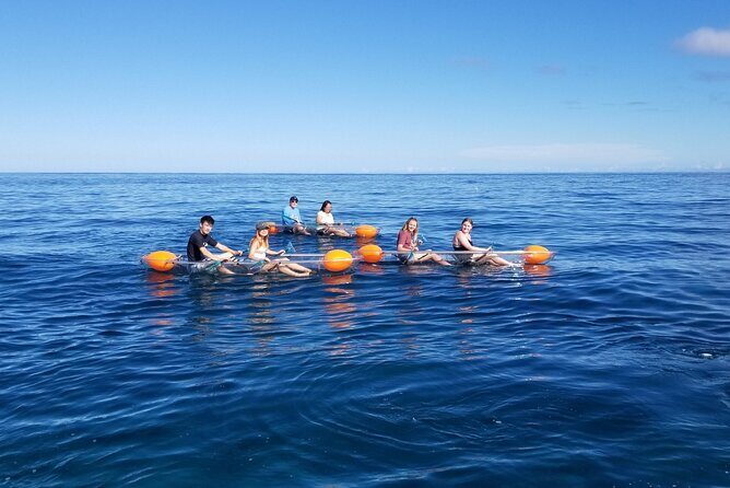 Clear Bottom Kayak - Guaranteed to see Turtles! - Meeting at Sea & Board Sports Hawaii and getting kitted up