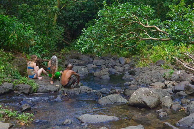 Custom Island Adventure Tours - How the 7-Hour Day Unfolds: From Pickup to Snorkeling and Back
