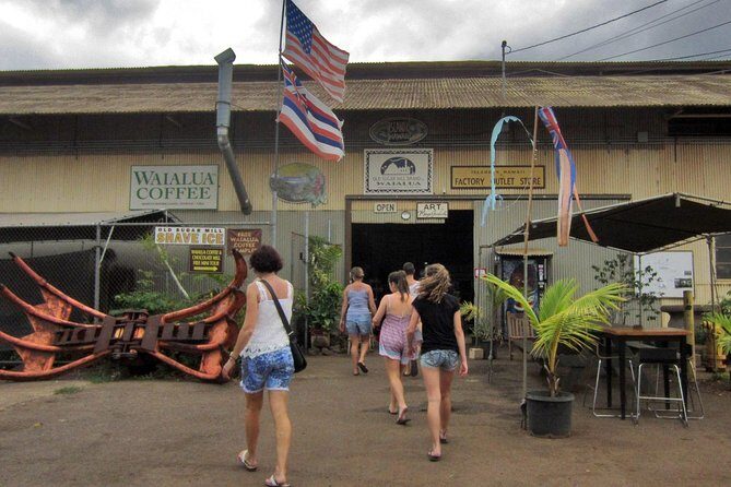 Custom Island Tour - for 4 to 5 people - up to 8 hours - Private tour of Oahu - Choosing the Right Expectations for Guide Style and Audio