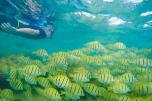 Customizable Island Tours Tours on Oahu - Price and what you actually get for $925 per group