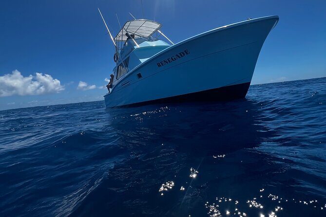 Deep Sea Exclusive Fishing Charter in Honolulu - Price and Value: How $1,308.90 Works for Up to 6 People