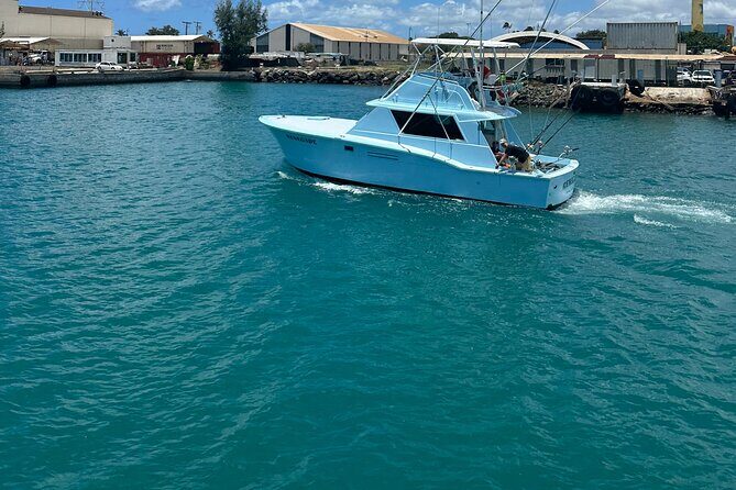 Deep Sea Shared Fishing Charter in Honolulu - Sea conditions, motion sickness, and trip comfort on a choppy Pacific