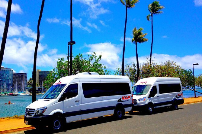 Departure Transfer: Airport Shuttle Honolulu and Waikiki or Cruise Terminal - The $17.50 Reality Check: Value for a 20-Minute Ride