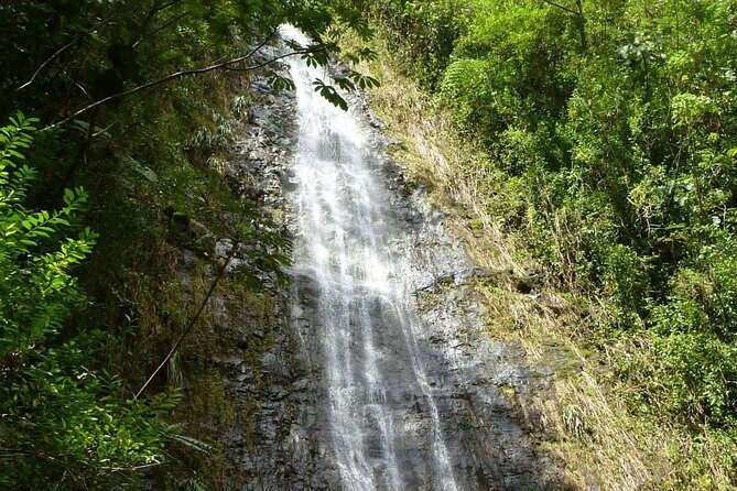 Diamond Head and Manoa Falls Hike and Adventure Tour - A Half-Day Plan That Hits Big Hawaii Icons Fast