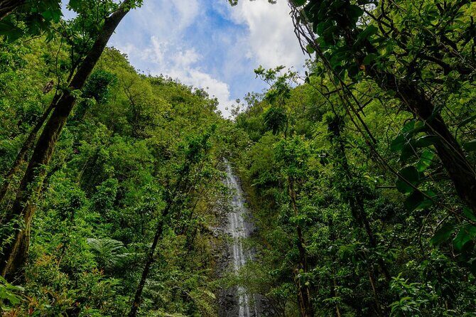 Diamond Head and Manoa Falls Hike and Adventure Tour - The Guide’s Role: Local Tips, Picture Help, and Story Gaps