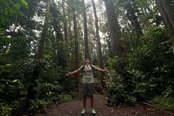 Diamond Head and Manoa Falls Hike and Adventure Tour - Snacks, Water, and What to Pack for a 6.5-Hour Day