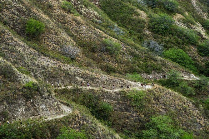 Diamond Head and Manoa Falls Hike and Adventure Tour - Price and Value: Is $149 Per Group Worth It?