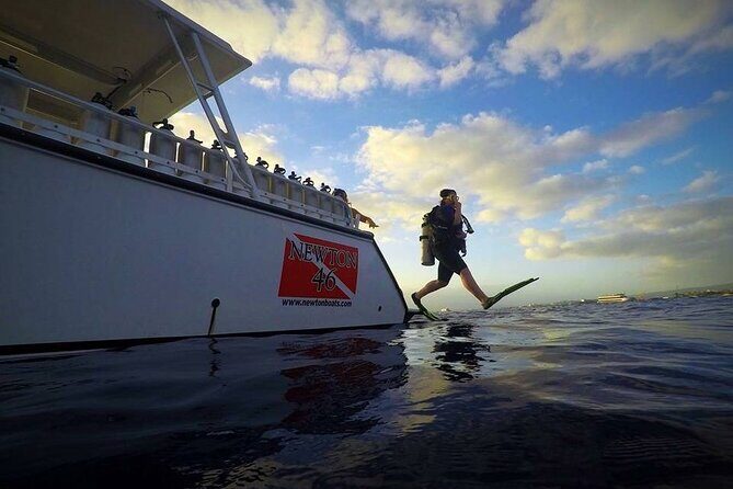 DISCOVER Scuba Diving Experience in Honolulu - What “Reef Tour Time” Means Off Waikiki