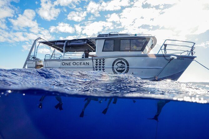 Dive with Sharks in Hawaii: Shark Tour from Haleiwa - The Pre-Swim Safety Briefing: Why It Feels Controlled