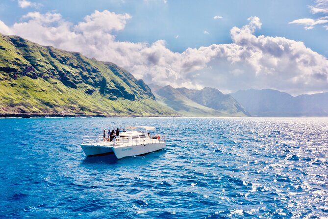 Dolphin & Seasonal Whale Watching, Turtle Snorkeling - Food, Snacks, and the Small Stuff That Makes Ocean Time Easier