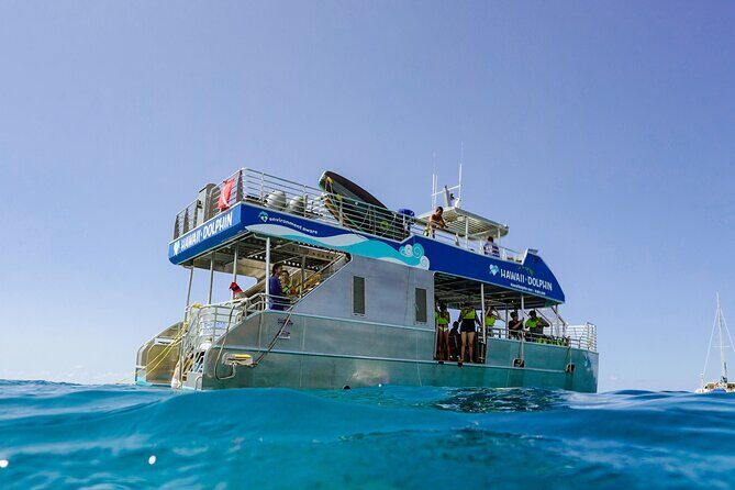 Dolphin Watch Cruise with Waterslide & Snorkeling on Oahu - Key Highlights You’ll Actually Care About
