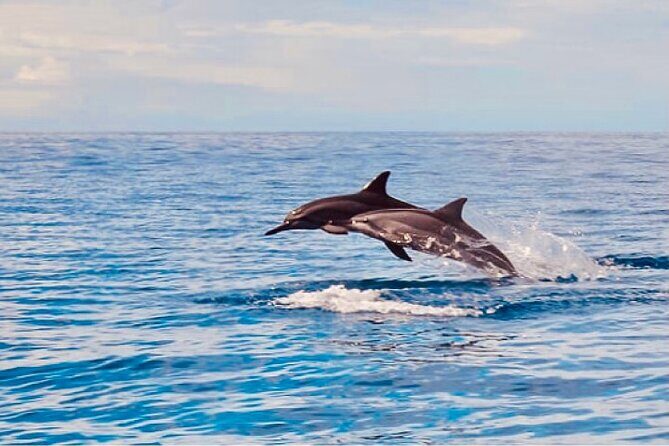 Dolphin Watching and Snorkeling on the West Coast of Oahu - West Oahu Catamaran Time: Why This Boat Ride Is Part of the Value
