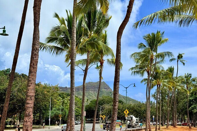 Downtown Honolulu Food Tour with 5 Local Favorites Tastings - Key highlights you should know