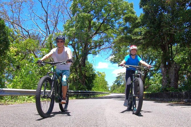 eBike Tour Honolulu Rainforest - Why This Honolulu Rainforest Ride Beats a Car Day