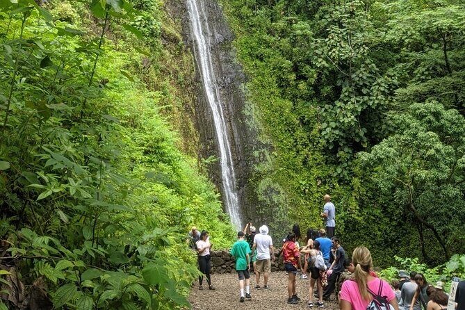 Electric Bike Ride & Manoa Falls Hike Tour - Helmet audio, photos, and why small-group guidance makes the whole day easier