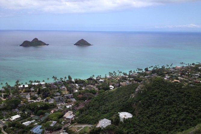 Family-Friendly Private Circle Island Tour of Oahu - Turtle Spotting at Turtle Bay Beach