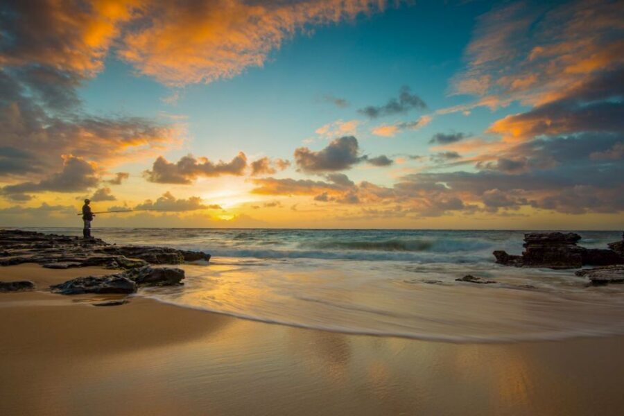 First Day Must 10-Hour Sunrise & Full Island Photo Tour - Stops that build variety: bays, trees, parks, and temple views