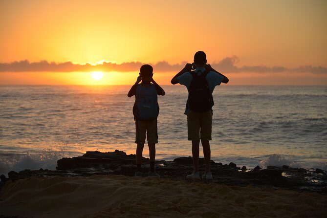 First Day Must: Oahu Sunrise & Circle Island Adventure - Stop 2: Makapuʻu Beach cliffs for turtles and whales spotting