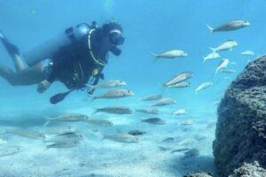 First-Time Scuba Diving in Honolulu + Free Videos - Gear fitting and the safety seminar that sets your comfort level
