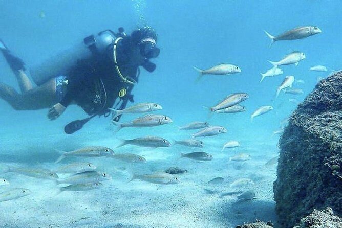 First-Time Scuba Diving in Honolulu + Free Videos - Gear fitting and the safety seminar that sets your comfort level