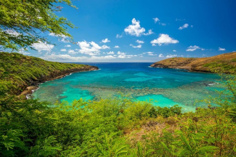 From Waikiki: Best of Oahu Photo Tour with Pickup - Nū‘aunu Pali and Ko‘olau viewpoints: where photos meet real island history