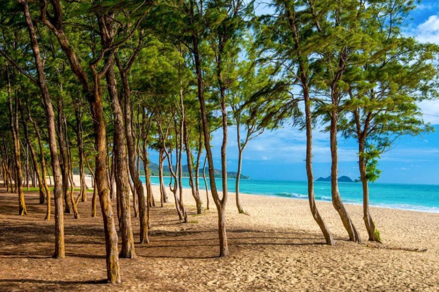 From Waikiki: Best of Oahu Photo Tour with Pickup - What to bring (so the day feels easy)