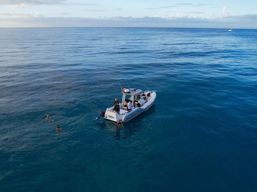 From Waikiki: Turtle Canyon Snorkeling Tour - The reef session: 50 minutes in the water with turtle-focused guidance