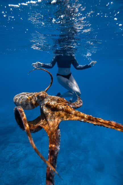 From Waikiki: Turtle Canyon Snorkeling Tour - Who this tour is best for (and who should consider alternatives)