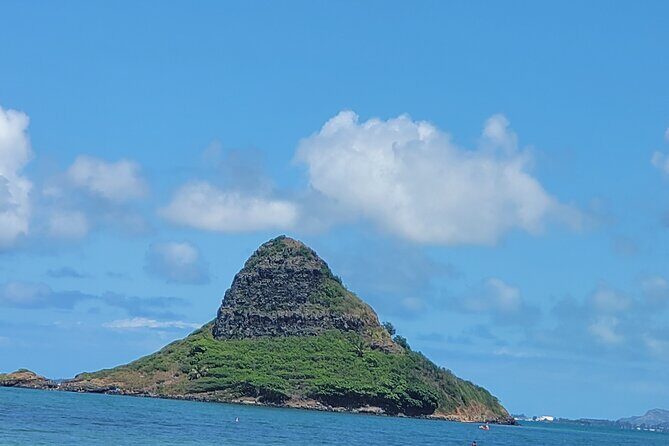 Full-Day Circle Island Guided Tour of Oahu - Tropical Farms macadamia stop: souvenirs without the hassle