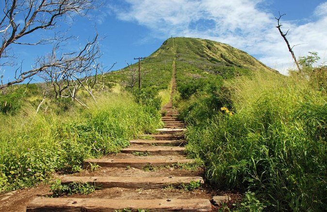Full-Day Guided Adventure in Koko Head Stairs and Southeast O'ahu - Key Highlights At a Glance