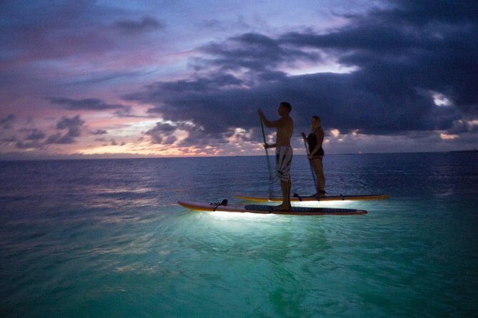GLOW Stand Up Paddle at Twilight - Twilight, But Make It Glow: When the Timing Gets Real