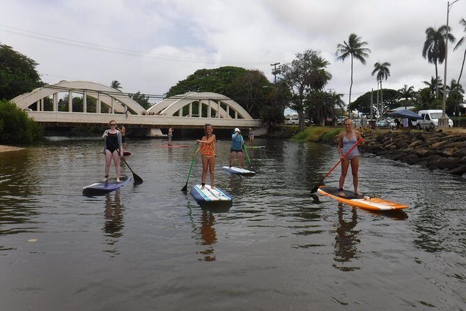 Group Stand Up Paddle Lesson and Tour - Sea turtles: common sightings, real limits