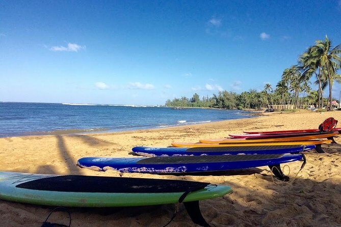 Group Stand Up Paddle Lesson and Tour - What you learn: Hawaiian fauna and local context