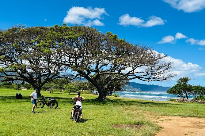 Guided E-Bike Tour in North Shore - Key highlights worth planning around