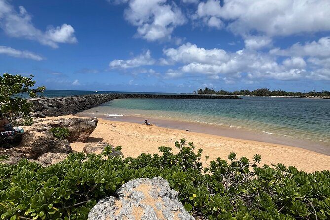 Guided E-Bike Tour in North Shore - Stop 2: Haleiwa Boat Harbor and the feel of local fishing culture