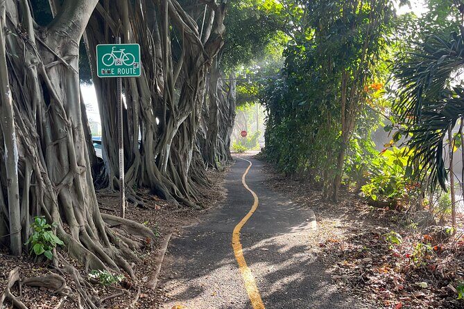 Guided E-Bike Tour in North Shore - Stop 3: Haleiwa Beach Park for surfers and beachgoer energy