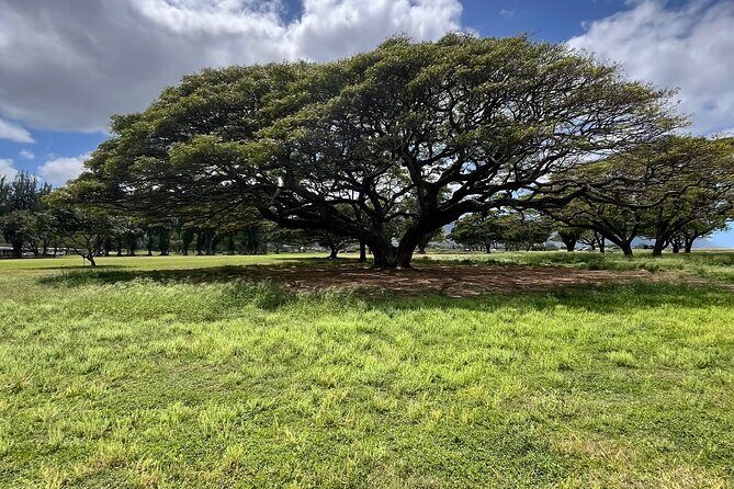 Guided E-Bike Tour in North Shore - Stop 4: Kaiaka Bay Beach Park for calmer-water scenery