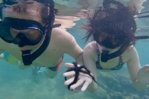 Guided Snorkel Tour for Beginners in Honolulu - The reef swim: what you’ll see and how the guide helps